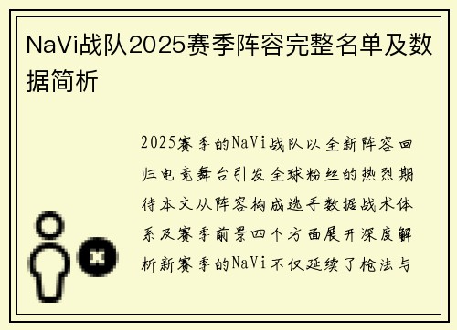 NaVi战队2025赛季阵容完整名单及数据简析
