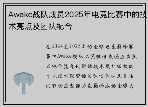 Awake战队成员2025年电竞比赛中的技术亮点及团队配合
